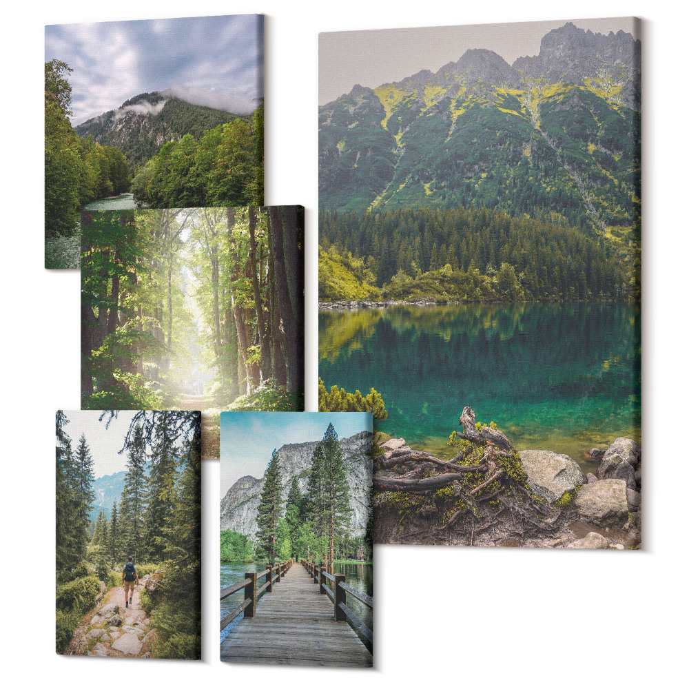 Sada obrazů pentaptych Přírodní horské krajiny a lesní turistické stezky