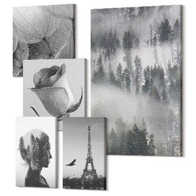 Sada 5 obrazů Černobílé inspirace přírodou a evropským městem