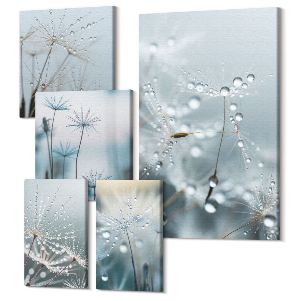 Sada obrazů na zeď pentaptych Jemné rostlinné motivy s kapkami vody na přírodním pozadí