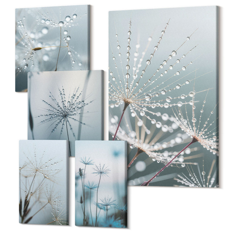 Sada 5 obrazů Kapky vody na rostliny v minimalistickém stylu