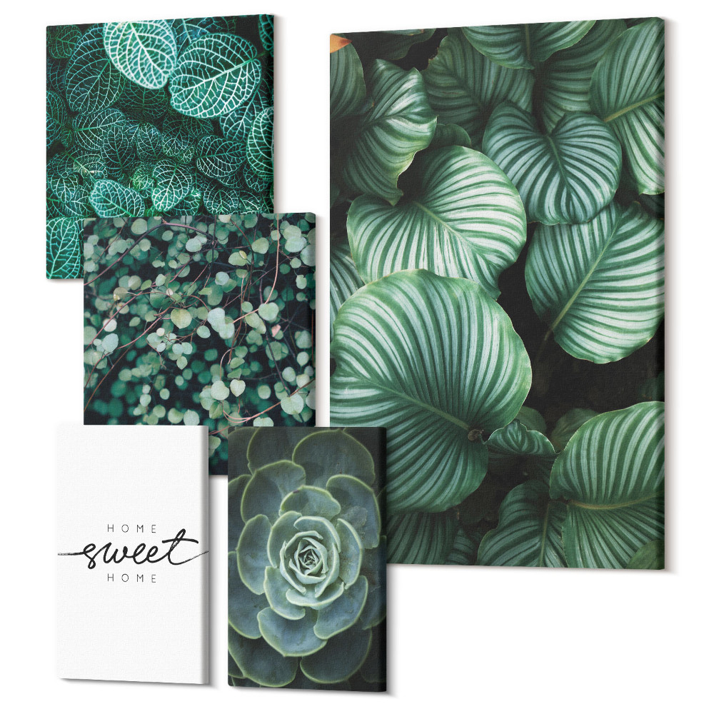 Sada 5 obrazů Zelené listy a rostliny v moderním stylu