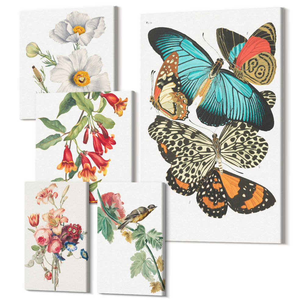Sada obrazů pentaptych Vintage nástěnná výzdoba květin, motýlů a ptáků
