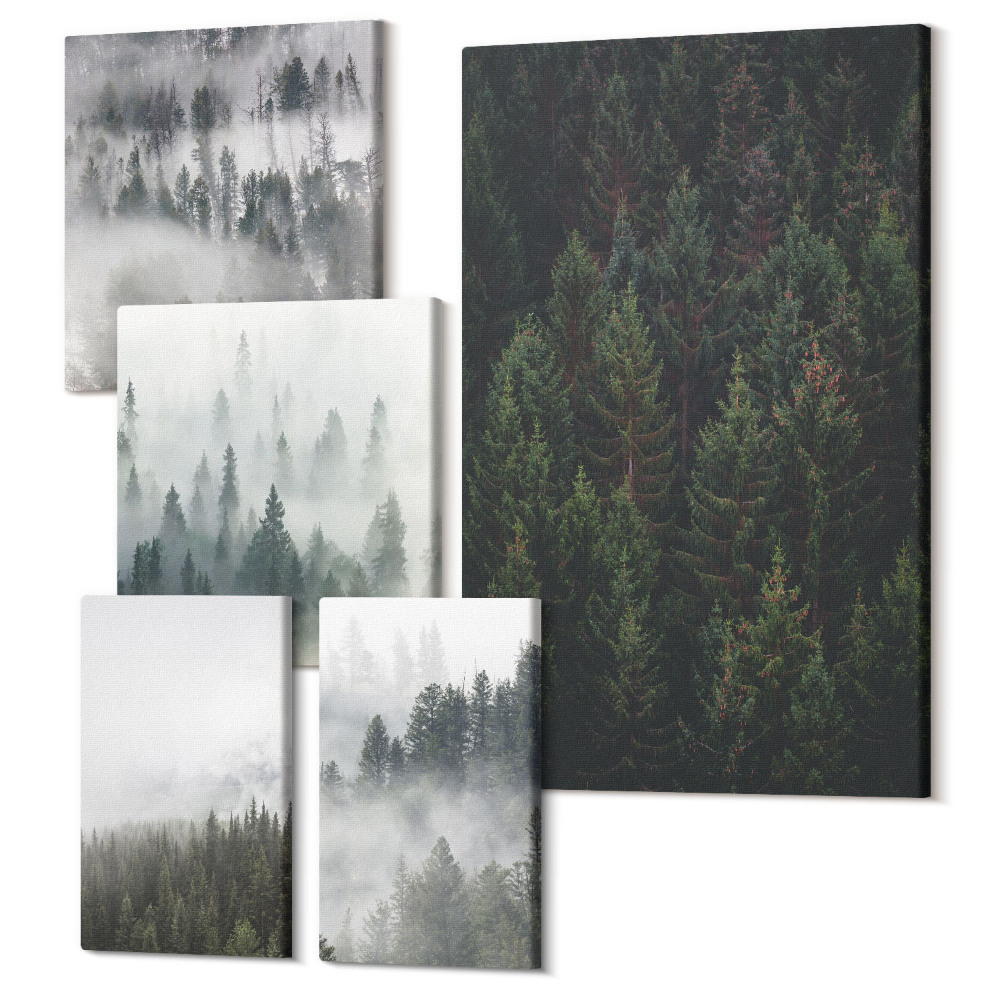 Sada 5 obrazů Zelené lesy mlhavé krajiny přírodní pohledy