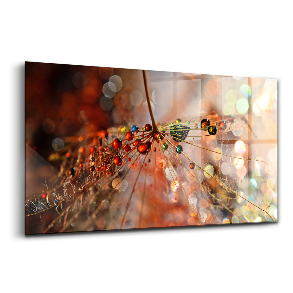 Obraz na skle Foukač s rosou