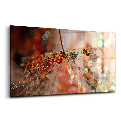 Obraz na skle Foukač s rosou