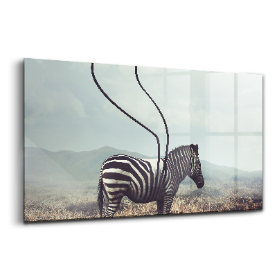 Skleněný obraz na stěnu Zebra bez rysů