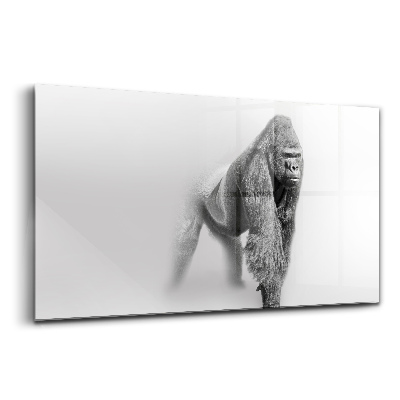 Skleněný obraz na zeď Sbírka umění divokých zvířat