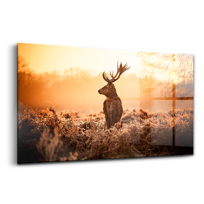 Luxusní skleněný obraz Jelen při východu slunce