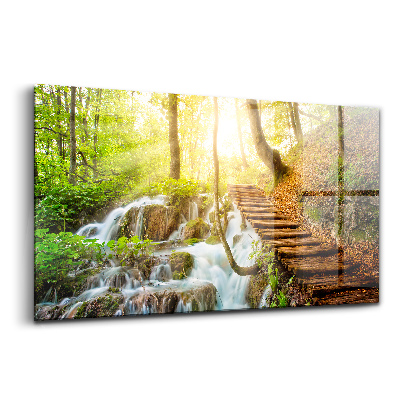 Skleněný obraz Lesní potok