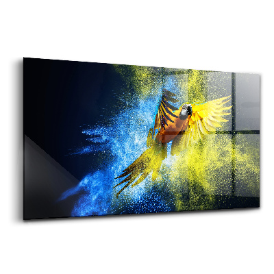 Skleněný obraz na zeď Barevný papoušek