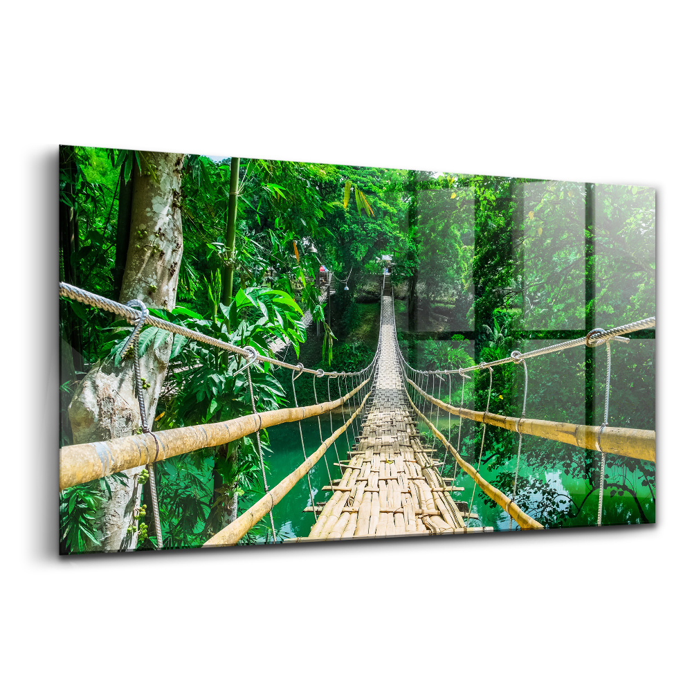 Skleněný obraz na zeď Most v tropickém lese na Filipínách