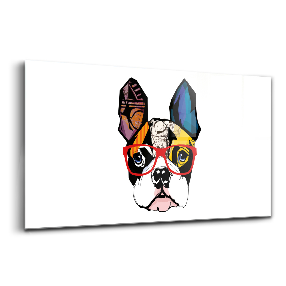 Skleněný obraz Francouzský buldoček s brýlemi