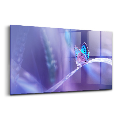 Luxusní skleněný obraz Motýl na trávě