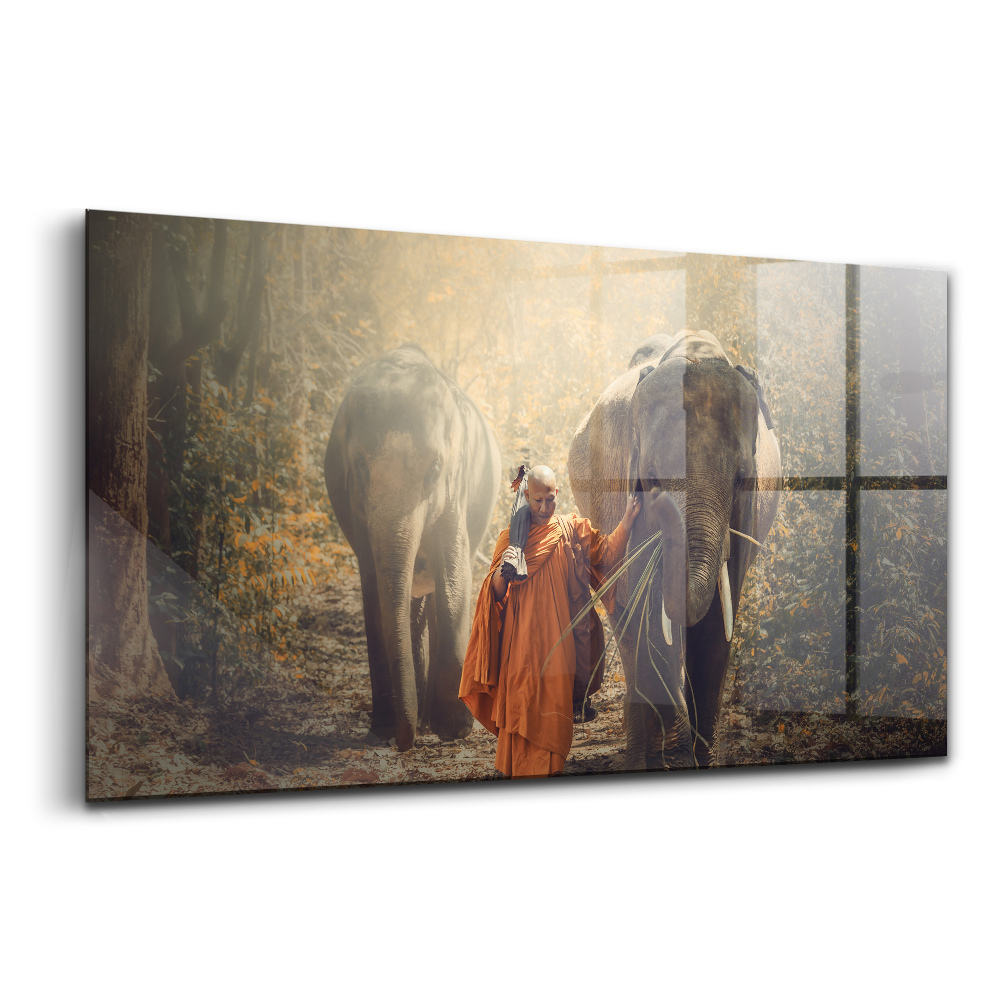 Skleněný obraz na zeď Mnich vedoucí slony