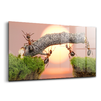Obraz ze skla Mravenci na kmeni stromu