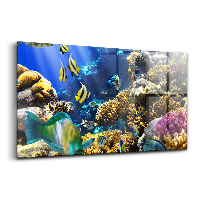 Obraz na skle Obrázek ryby na korálovém útesu