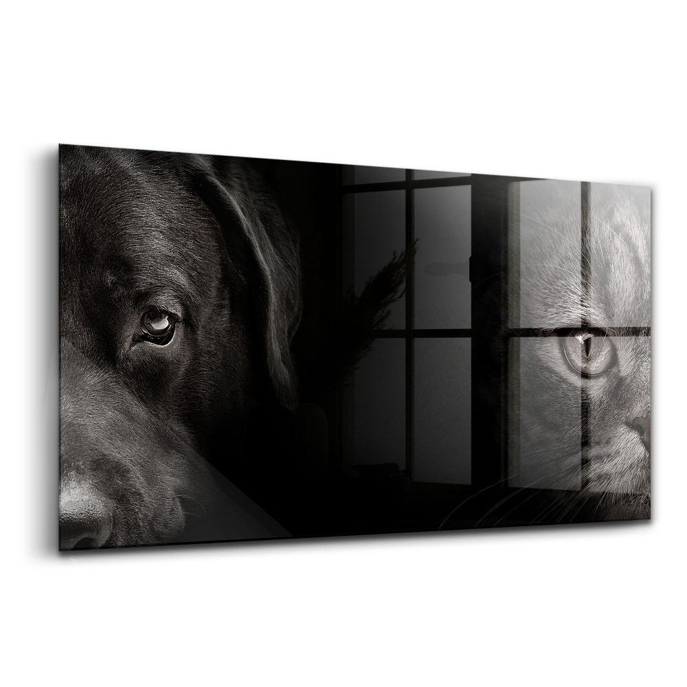 Luxusní skleněný obraz Labradorský pes a skotská kočka