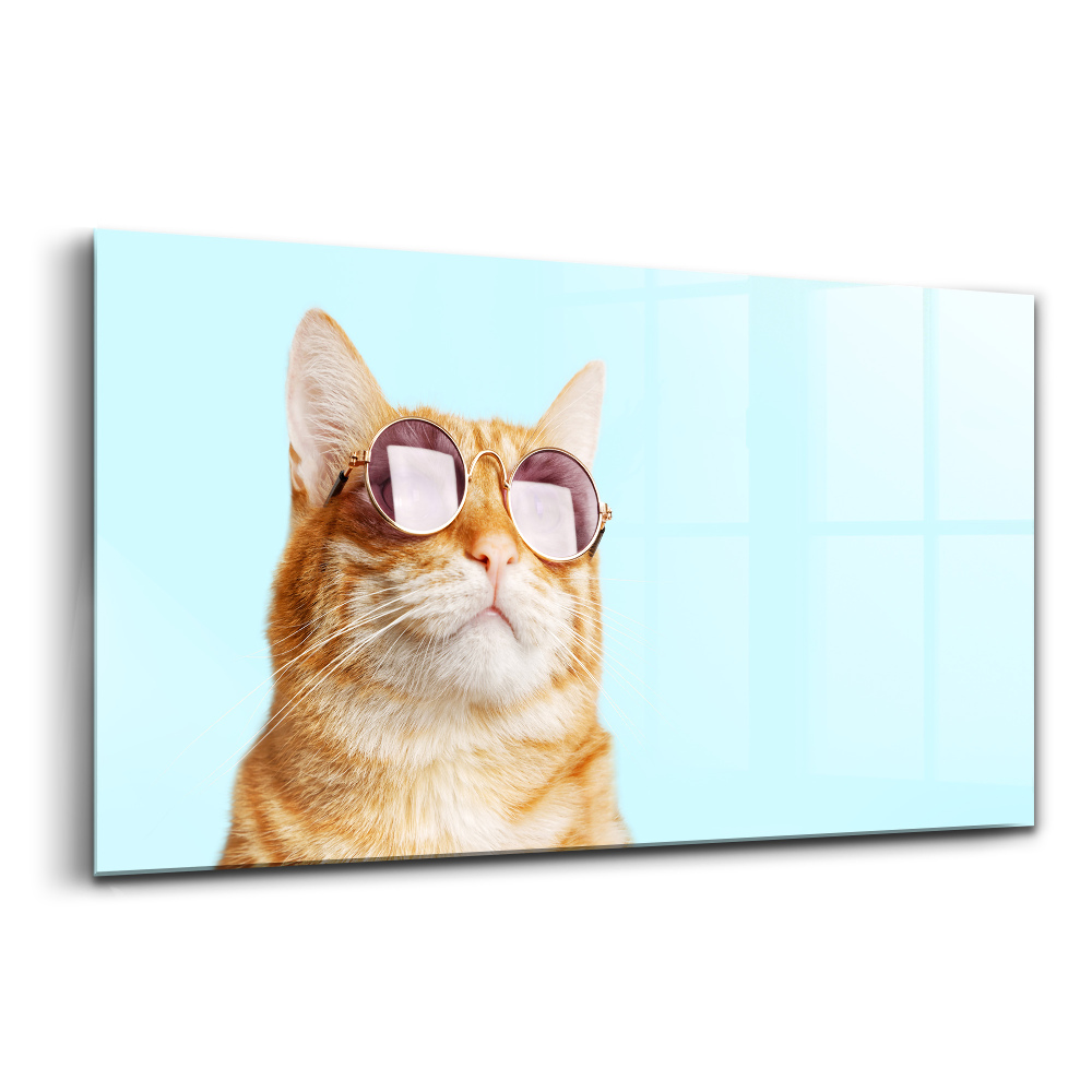 Skleněný obraz na stěnu Legrační kočka s brýlemi