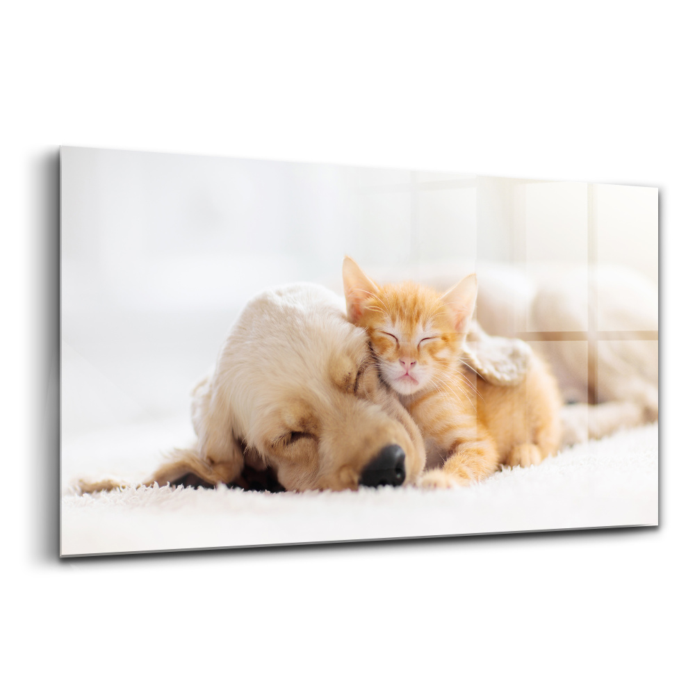Skleněný obraz Spící kočka a pes