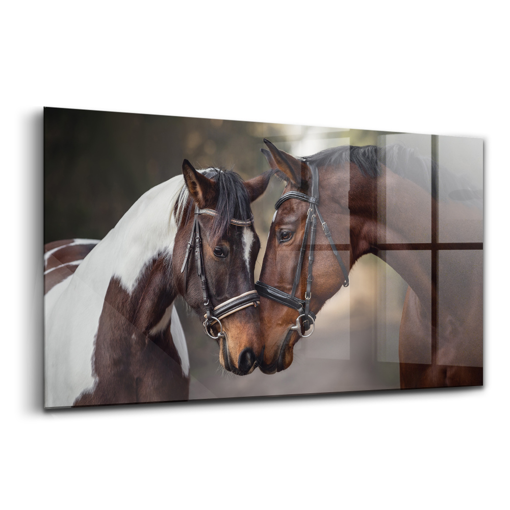 Skleněný obraz na zeď Portrét koní na cestě v lese