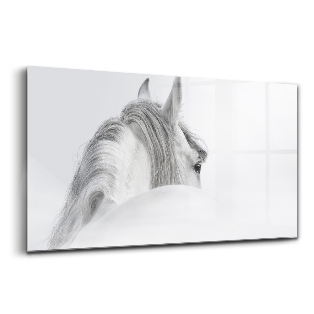 Luxusní skleněný obraz Andaluský kůň v mlze