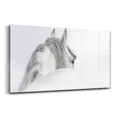 Luxusní skleněný obraz Andaluský kůň v mlze