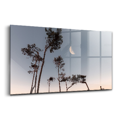 Skleněný obraz na zeď Půlměsíc a stromy