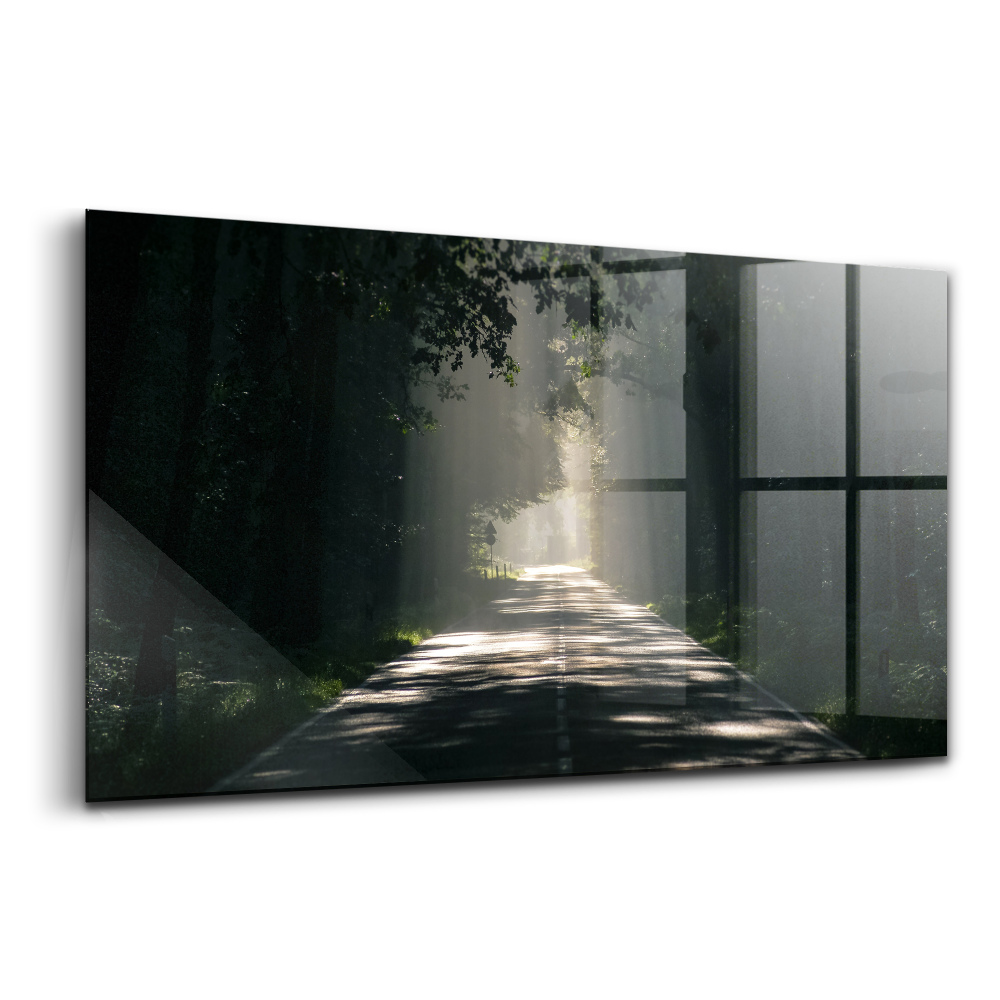 Luxusní skleněný obraz Lesní cesta a sluneční pruhy