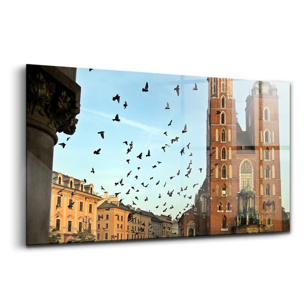 Skleněný obraz na zeď Holubi v krakově