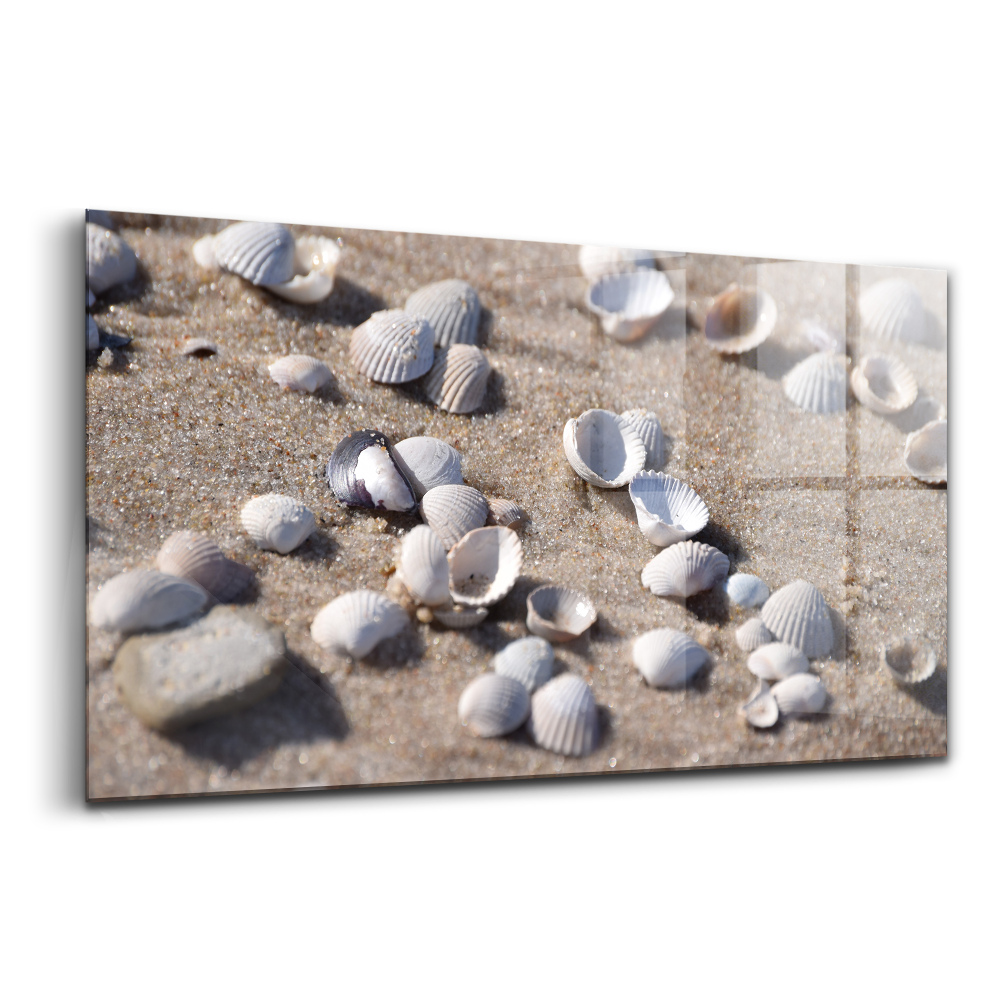 Skleněný obraz na stěnu Mušle na pláži