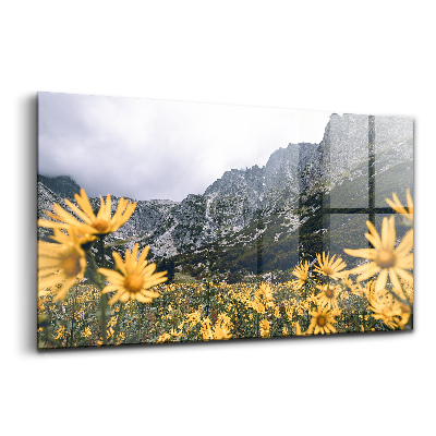 Obraz na skle Luční květiny v tatranských horách