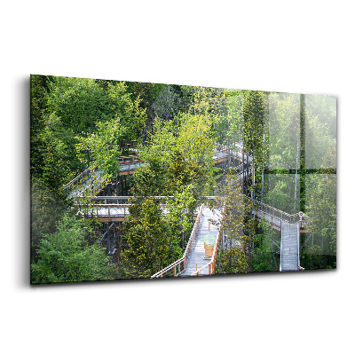 Obraz ze skla Stezka v Krynici Zdroj