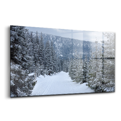 Obraz ze skla České Krkonoše v zimě