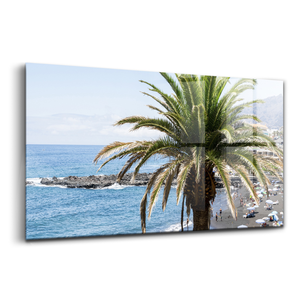 Skleněný obraz na stěnu Kokosová palma u moře