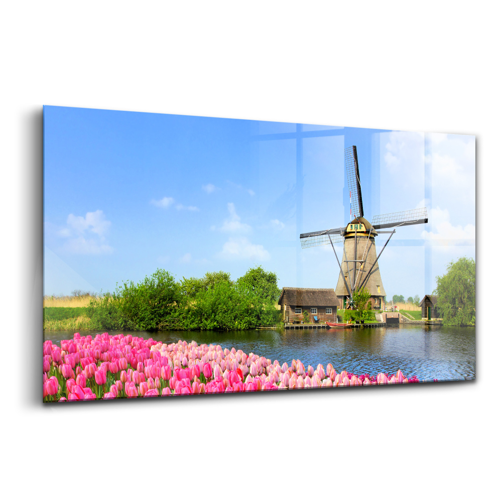 Obraz ze skla Holandský větrný mlýn s květinami