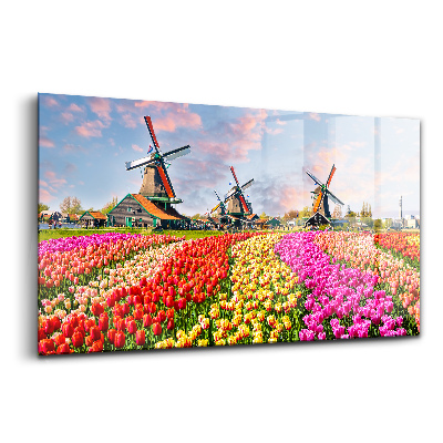Skleněný obraz na stěnu Krajina s tulipány Nizozemsko