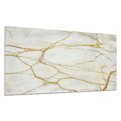 Panel na zeď Elegantní mramor s žilkami