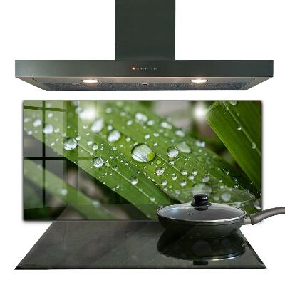 Obkladový panel za kuchyňskou linku Kapky rosy na trávě