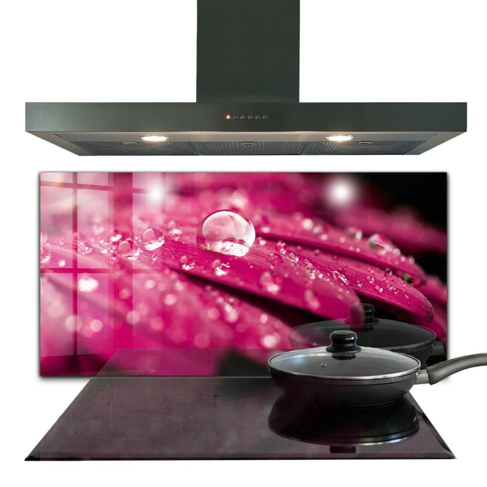 Skleněný obklad do kuchyně Růžový květ rostliny