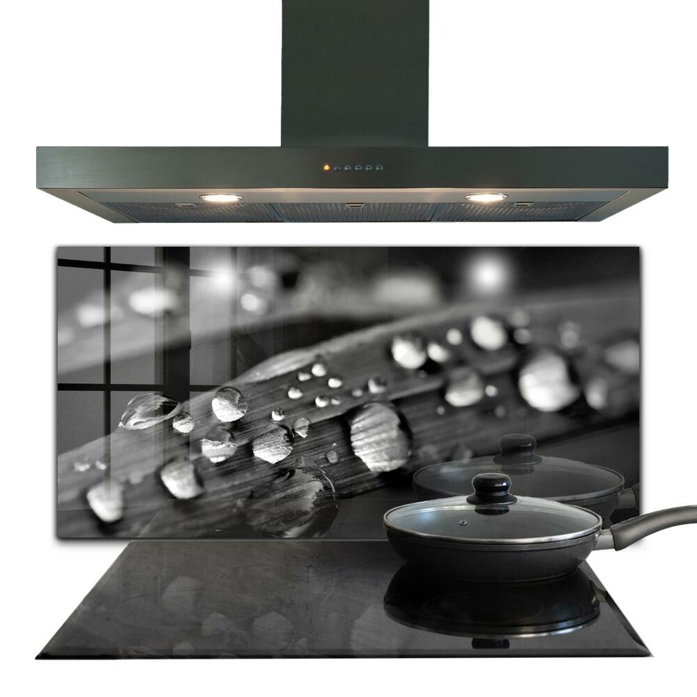 Panel za kuchyňskou linku Listová růže Černá a bílá