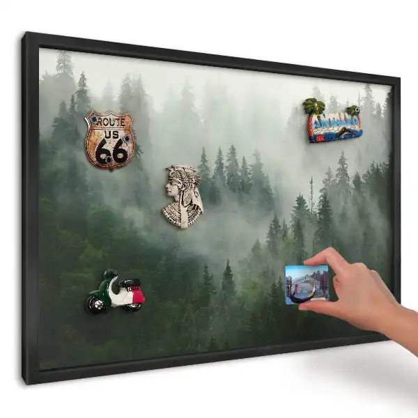 Magnetická tabule Zelený mlhavý les