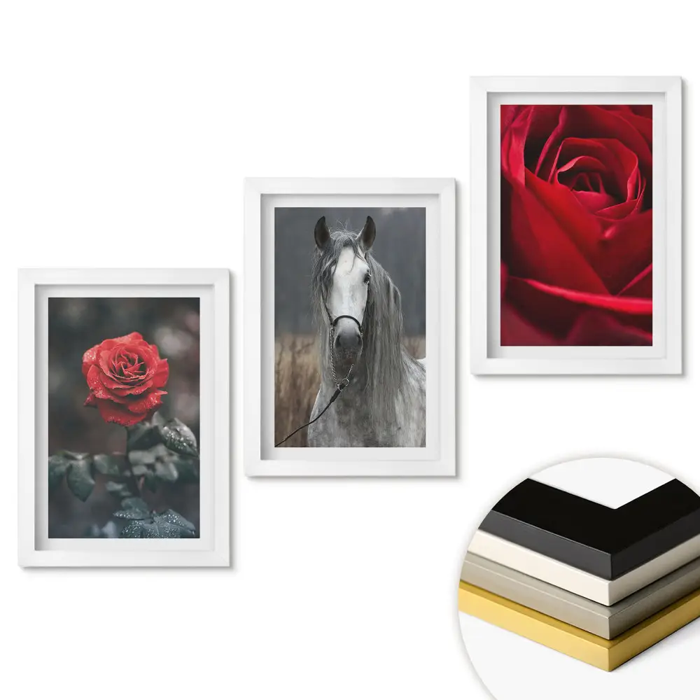 Triptych v rámu Květiny a kůň