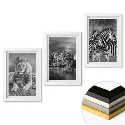 Triptych v rámu Divoká příroda v monochromatickém stylu