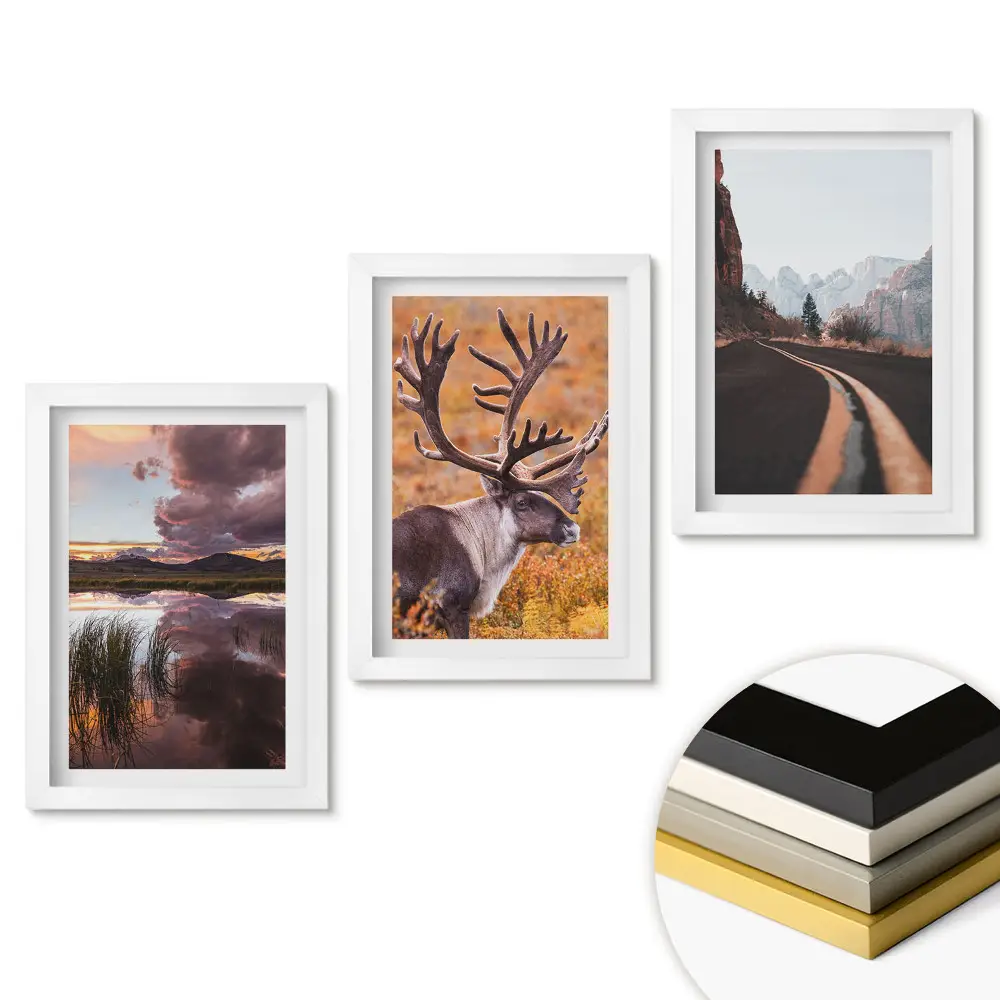 Triptych Příroda ve třech verzích v rámu