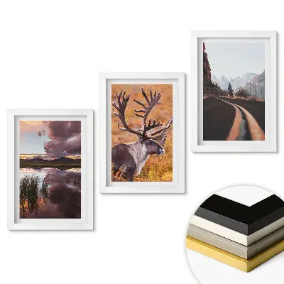 Triptych v rámu Příroda ve třech verzích