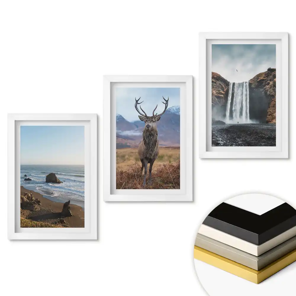 Triptych Příroda ve třech verzích v rámu