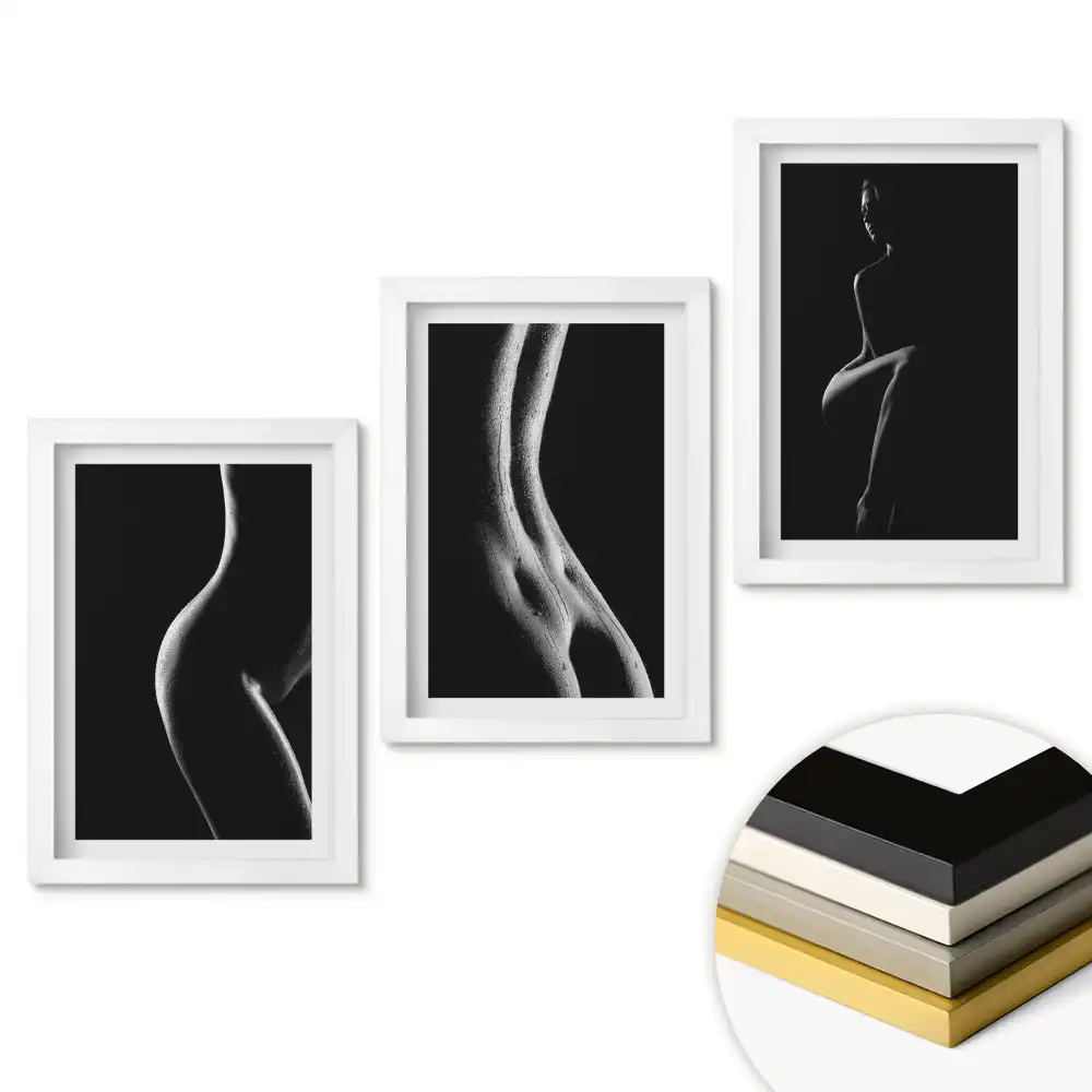 Triptych Stíny krásy v černobílém provedení v rámu