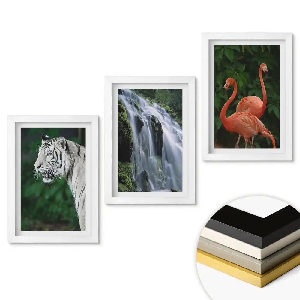 Triptych v rámu Zvířata a příroda v harmonii