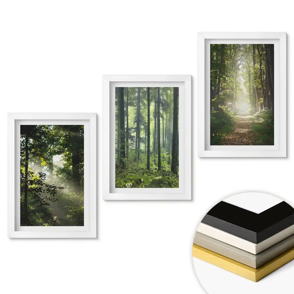 Triptych v rámu Zelená oáza klidu v lese