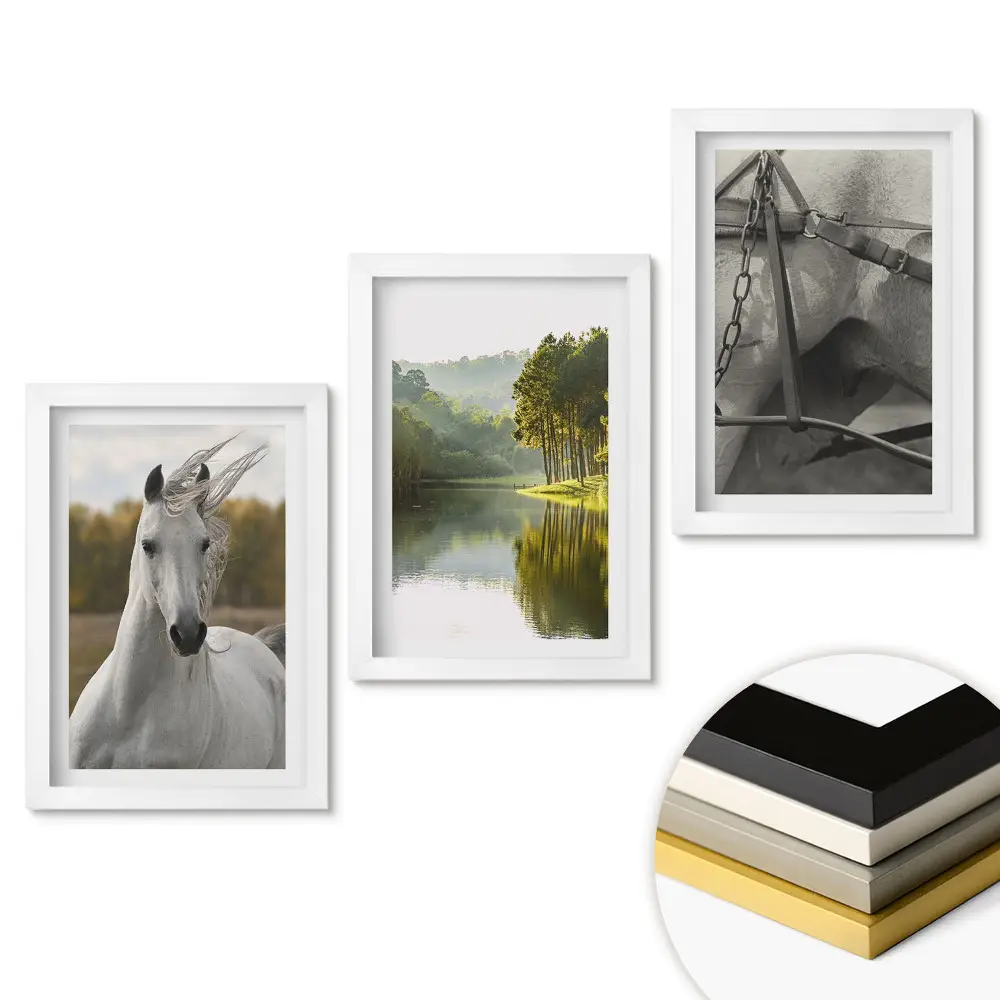 Triptych v rámu Kouzlo přírody a krása koní